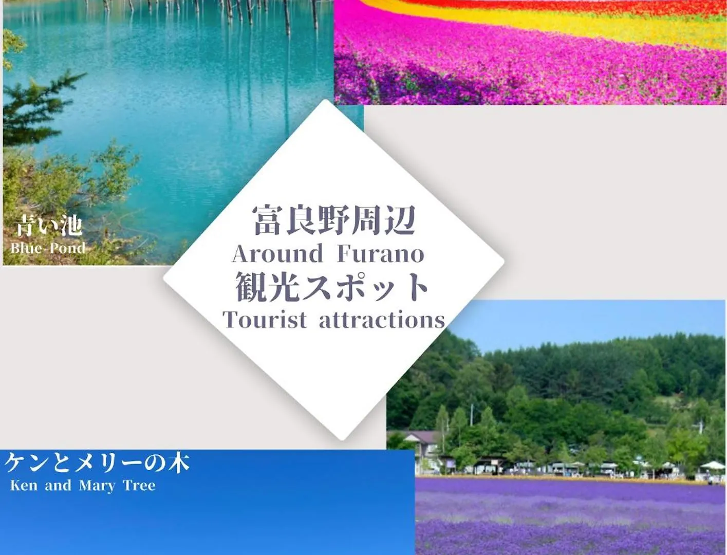 Apartament Breeze Furano 202
